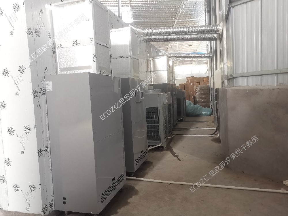 ECOZ億思歐案例賞析 桂林羅漢果烘干